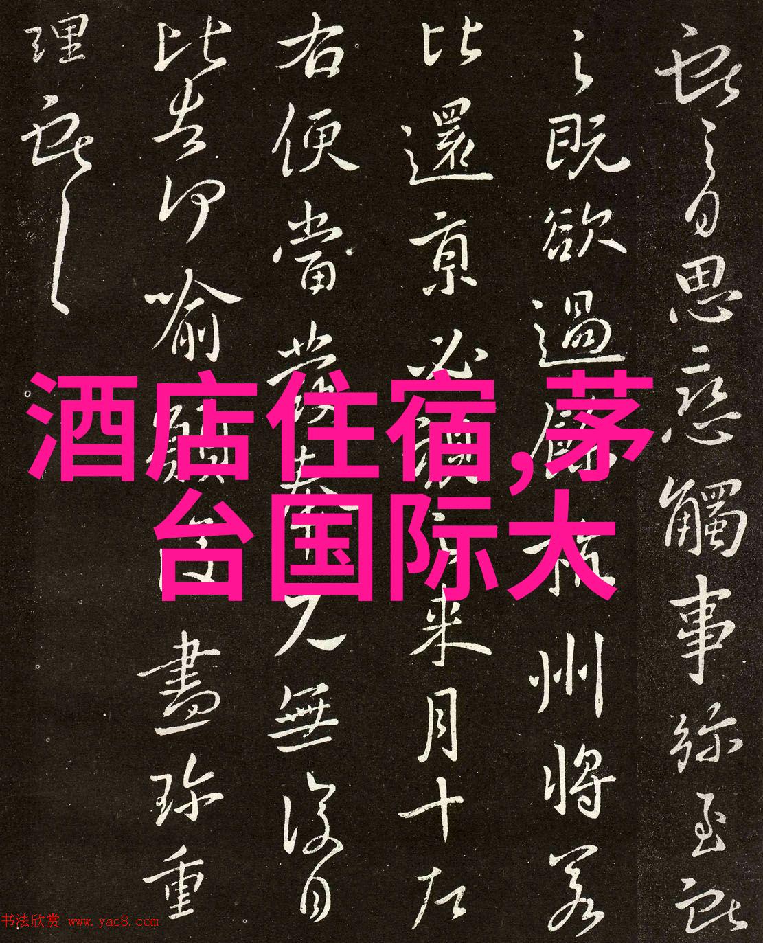 光明新区美食攻略大全品味当地特色