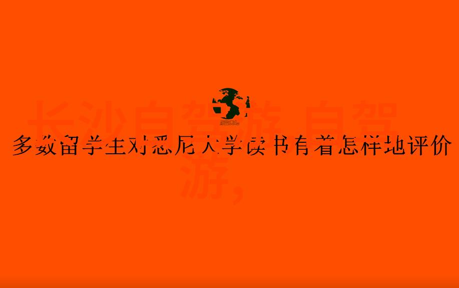户外探险创造无限童趣的幼儿园活动