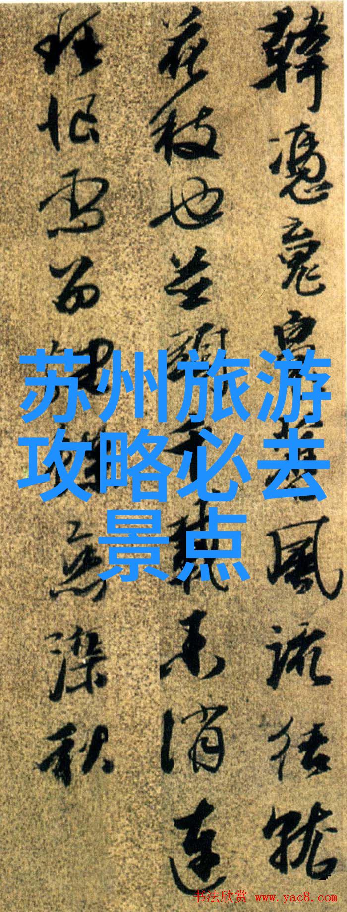 上海美食盛宴品味一城百态