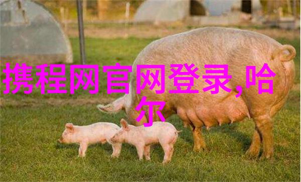 探秘西湖杭州景点推荐全指南
