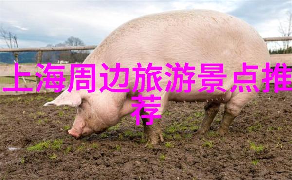 烟台旅游攻略必去景点 - 海滨之冠探秘烟台十大不可错过景观