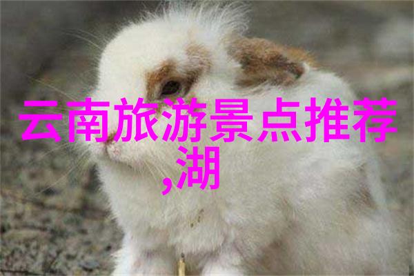 团队协作盛宴公司年度联谊日活动邀请通知