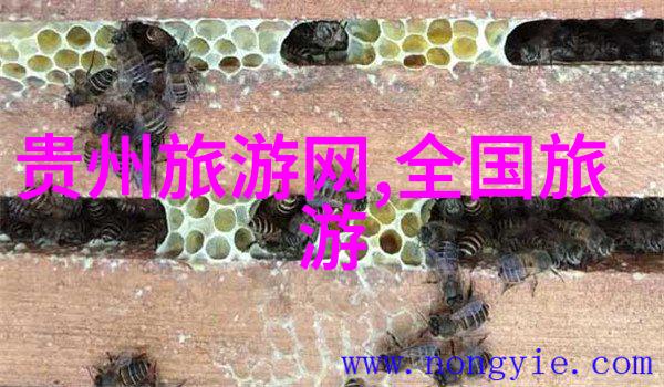 幼儿园小班户外活动有哪些来看看我今天跟你说的这些项目吧