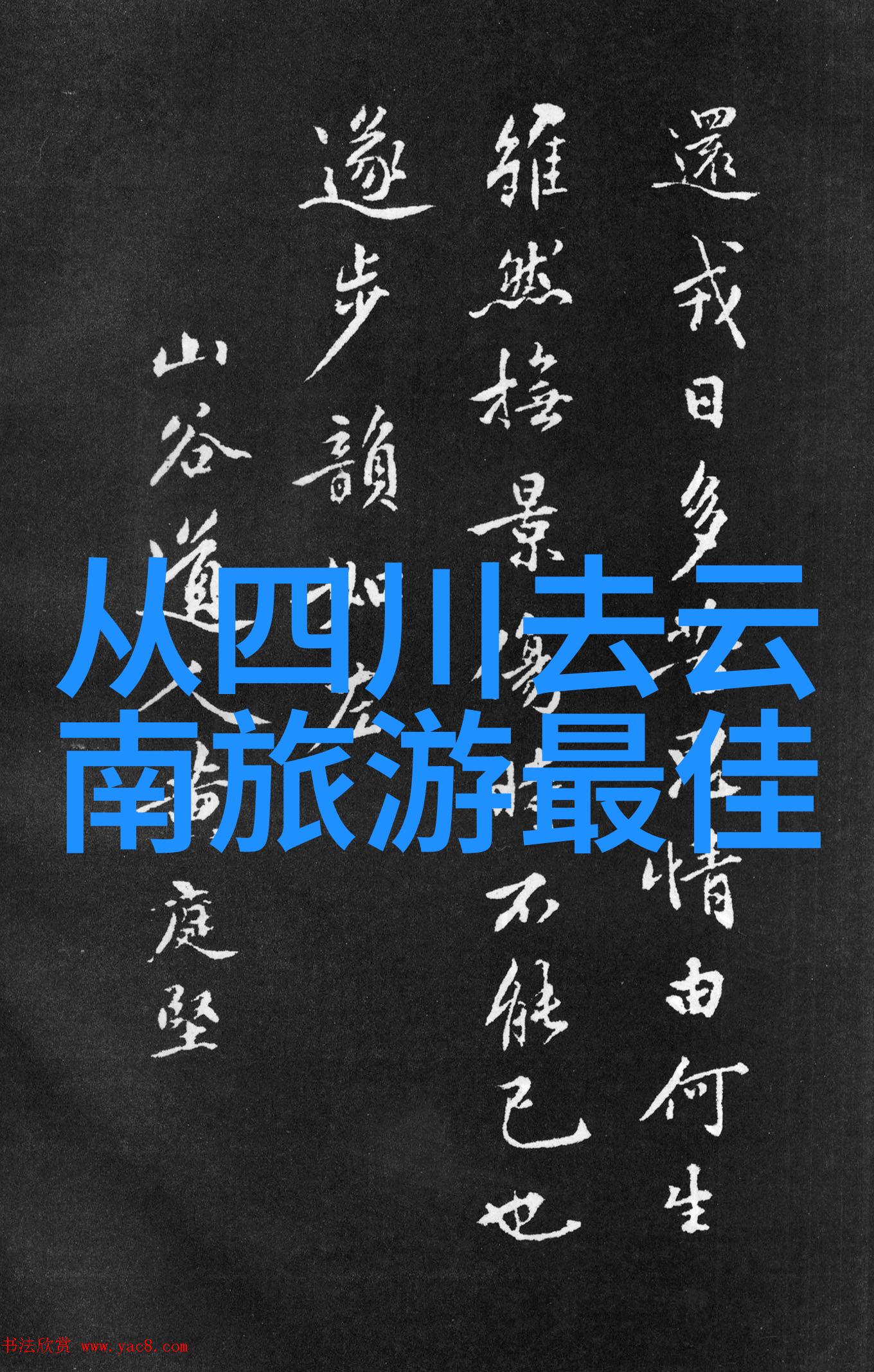 上海美食之旅探索五家不可错过的餐厅