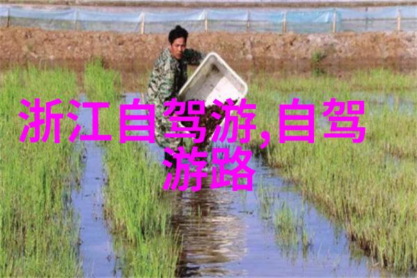 旅游地图app-探索未知如何利用旅游地图应用提升你的旅行体验