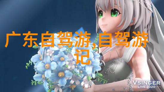 户外游戏大班幼儿的探索乐园