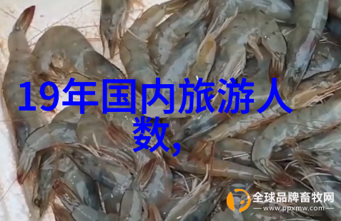 健康生活从简单开始户外拓展活动对身体健康的影响