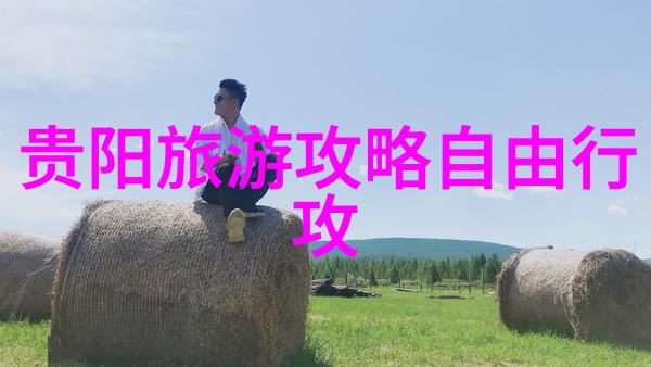 深圳旅游攻略景点推荐 - 深圳美丽奇迹探索未来都市的文化与自然之美