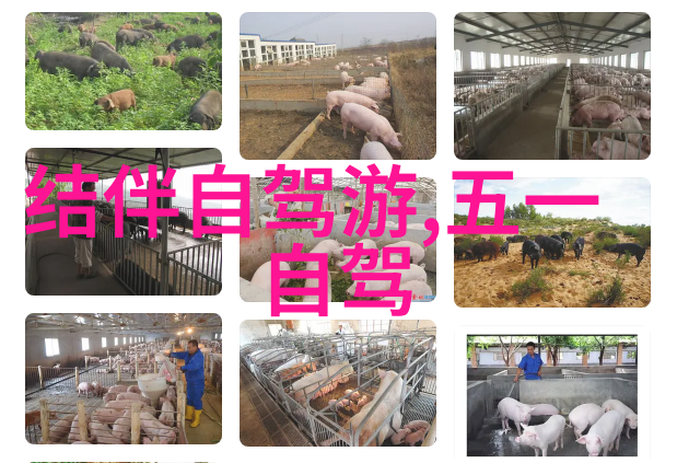 探索中国旅游热门城市榜首体验游方之旅中的独特苗乡文化