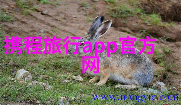自驾游我是怎么在一辆破旧的车里追逐云朵的