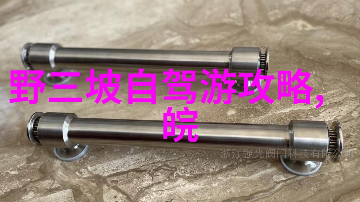西湖漫步探索杭州的诗意之城
