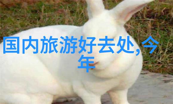 广西旅游热潮燕儿谷的社会风采
