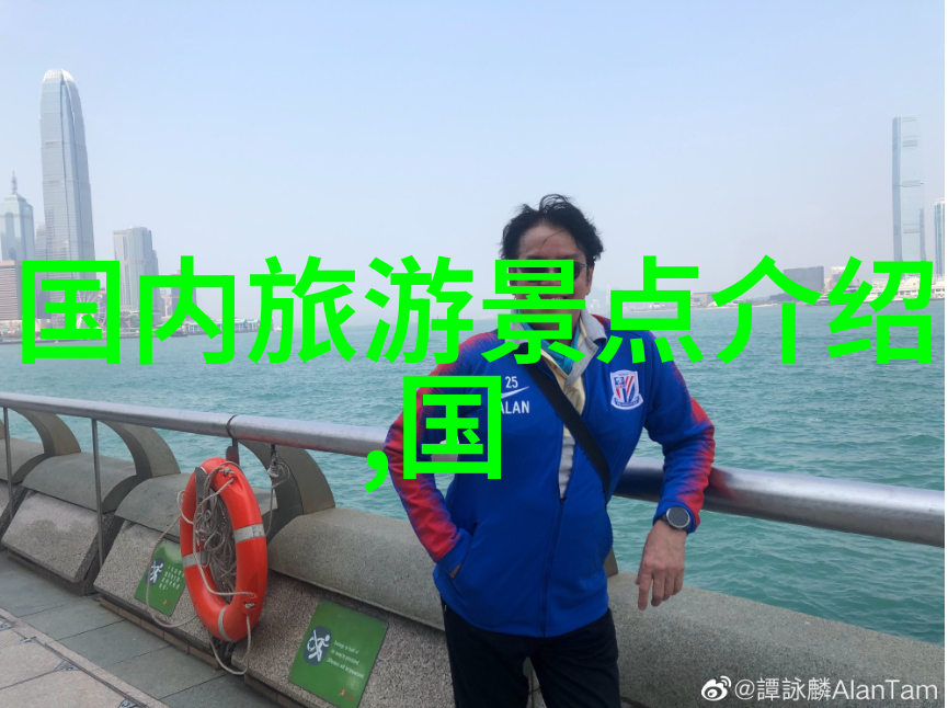 是否存在一些小众平台或论坛专门分享和讨论关于自由获取软件的手段