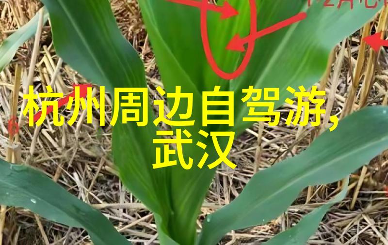 西双版纳旅游必游景点详解