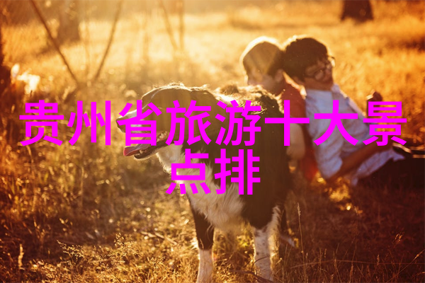 骑行群真的很乱吗共享单车乱象深度探究