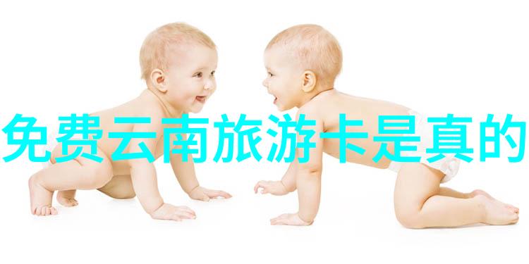 潮州本地人推荐的餐馆 - 潮味盛宴潮州本地人的美食指南