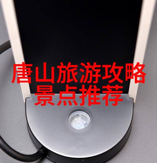 亚洲人日本人的文化交融与创新发展