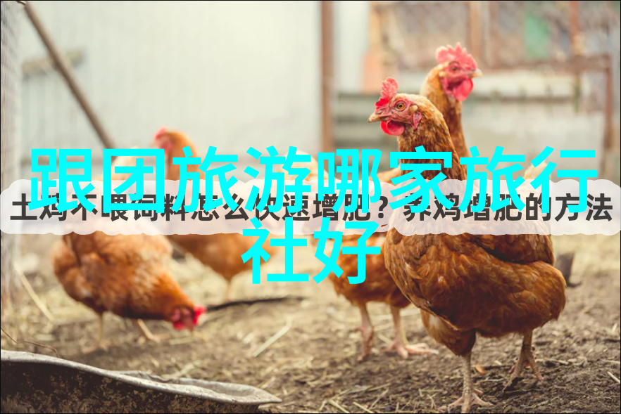 遥望国界未解之谜的出国指南
