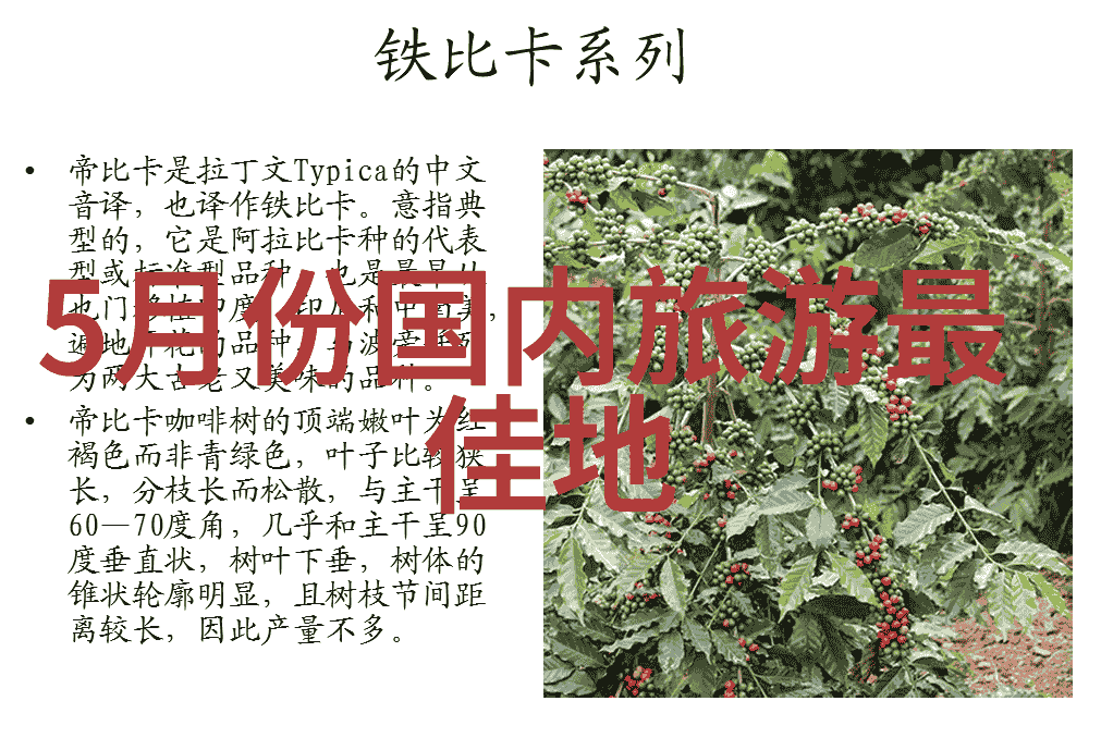 自驾游买什么保险好是不是应该先了解自己的需求再做选择