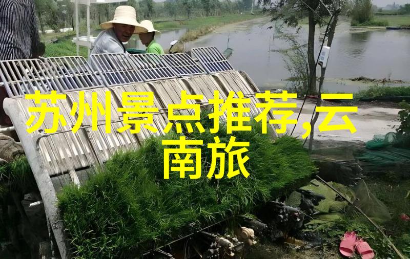 五年级学生的优秀游记作文400字限恭王府之旅如何