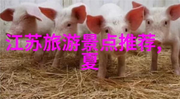 如何在香格里拉安全游览以避免途中发生不必要的麻烦