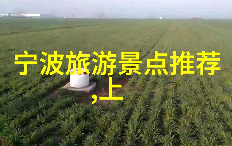广东自驾游记从潮汕的海鲜到深圳的高楼沿途遇见了什么