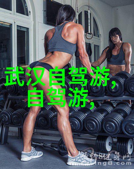 跟团游好还是自由行好-探索旅行之谜团队共享与自在选择的对比分析