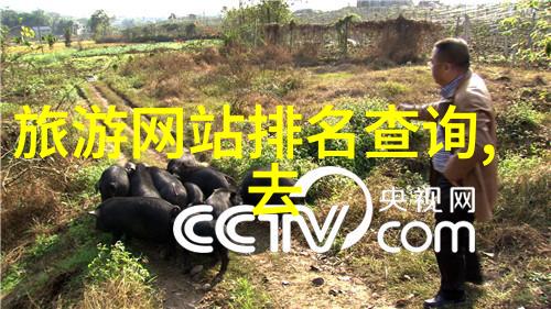 上海自驾游-探索江城古韵上海周边一日游必看景点