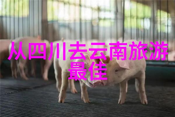 北京十大最美骑行路线我眼中的北京十条让人心动的骑行小径