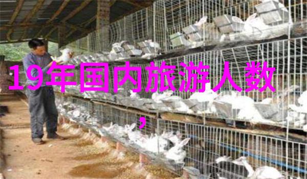 云南十日奇遇探秘大地的精髓