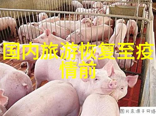他像疯了一样的索取我哥的奇怪行为揭秘他为什么要拿走所有的钱