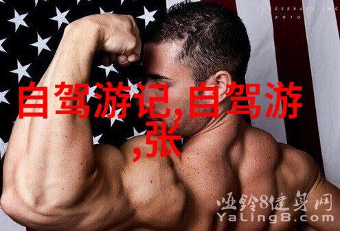 骑行与跑步哪个更有效锻炼身体探究两者对心肺功能和肌肉力量的影响