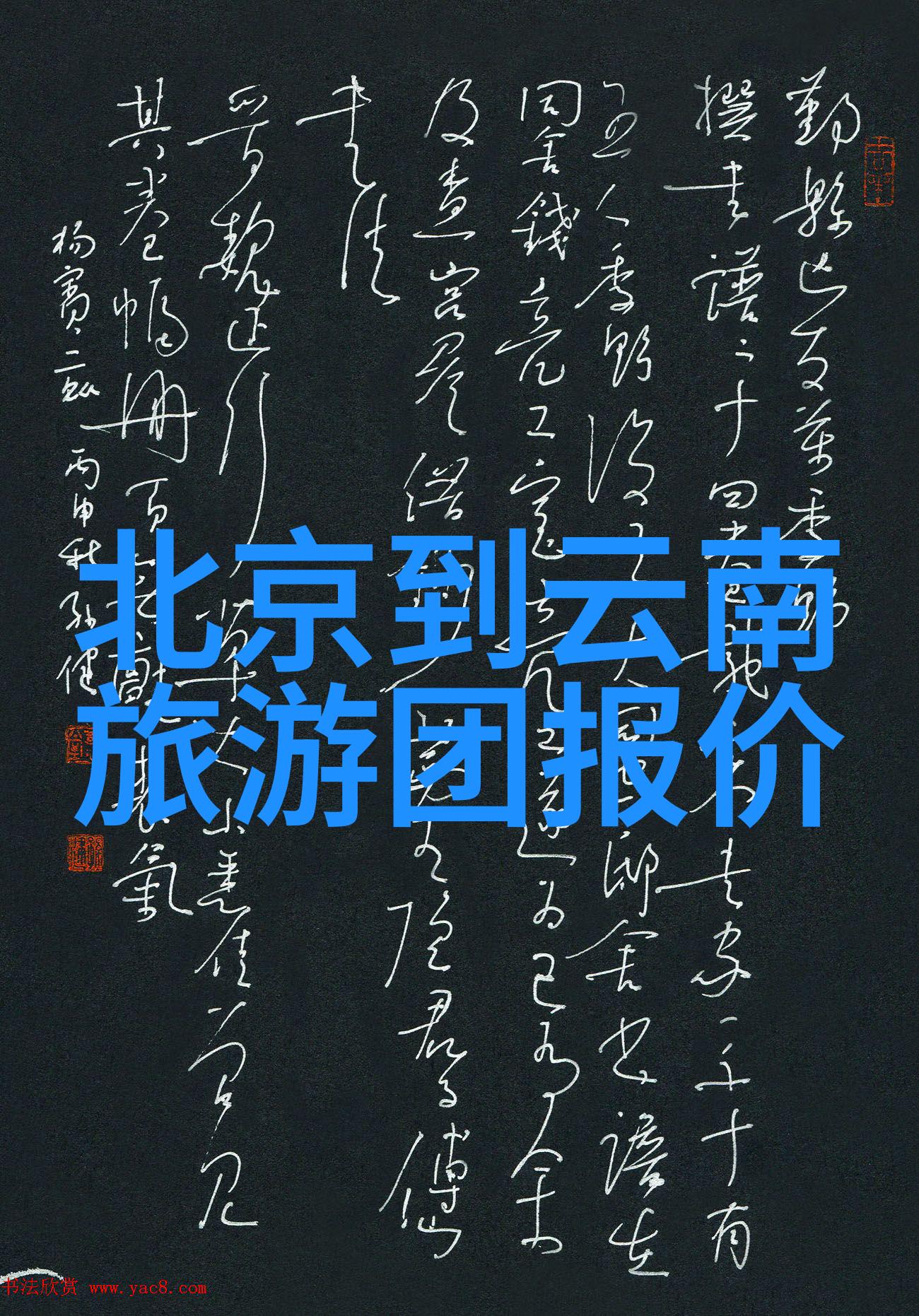 旅游团咨询服务专业的旅行规划和目的地推荐