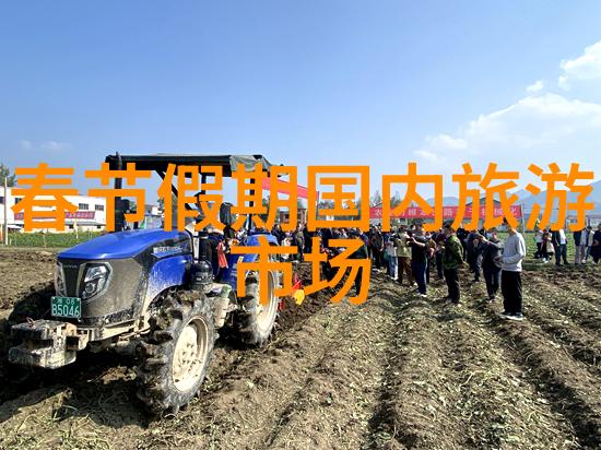 少年天师的光影之旅离灯下的神秘使者