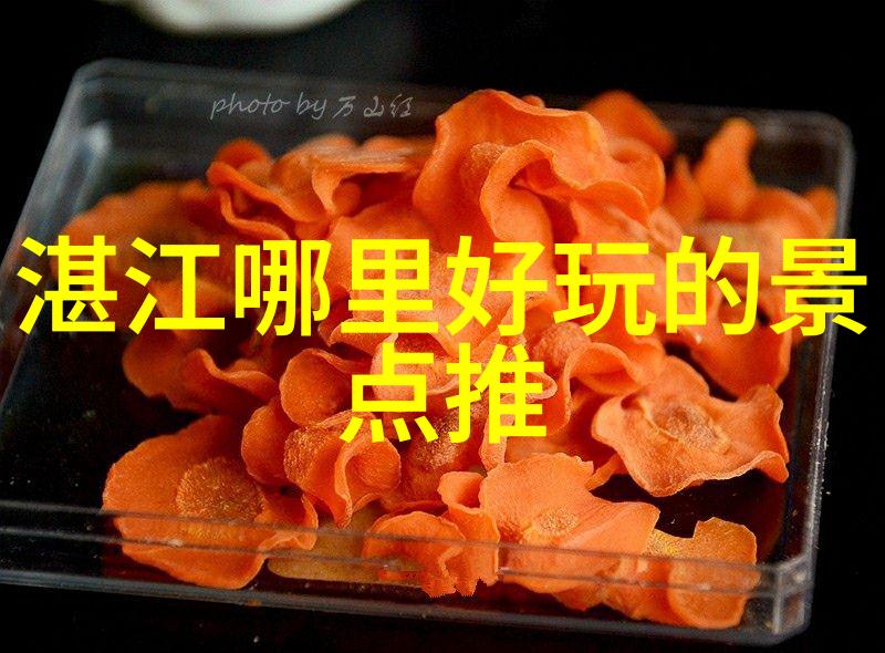 每日30分钟单车一月坚持的体验分享