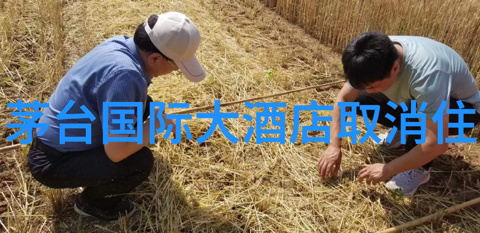 骑行探索发现城市新风景的应用之旅