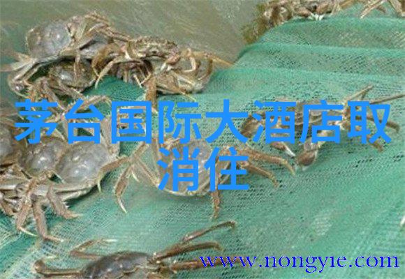 广州自由行攻略探索潮汕美食登顶天河山