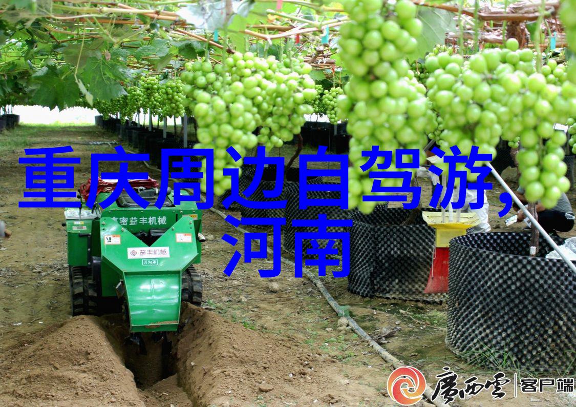 探索江南美揭秘苏州园林的迷人魅力