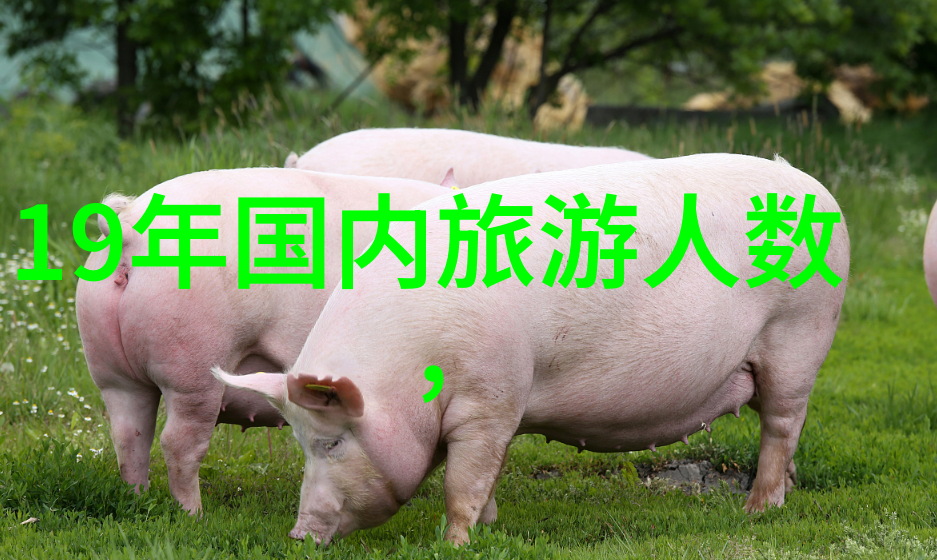 中国内地美丽之旅探索文化古迹与自然奇观