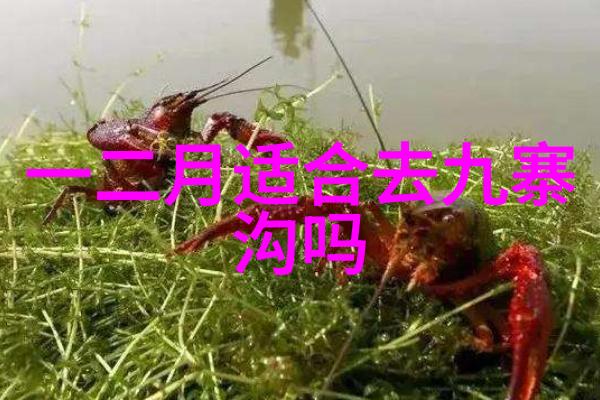中国旅游集团之谜背后的五星级秘密