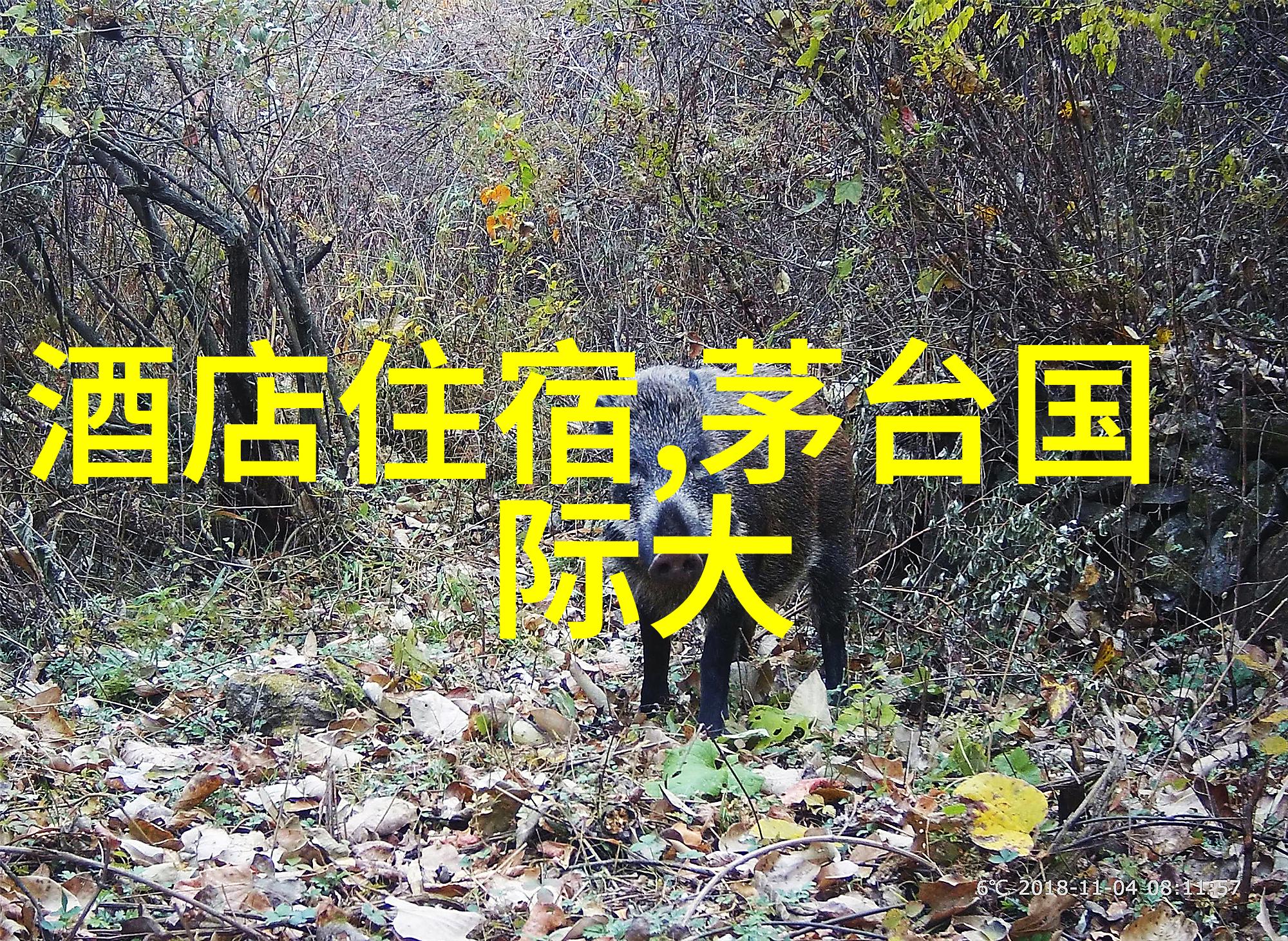 如何预算你的2天旅行费用