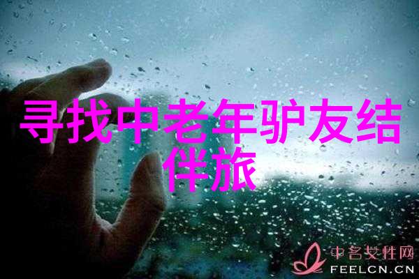 探索童真100个启迪幼儿园户外游戏之旅