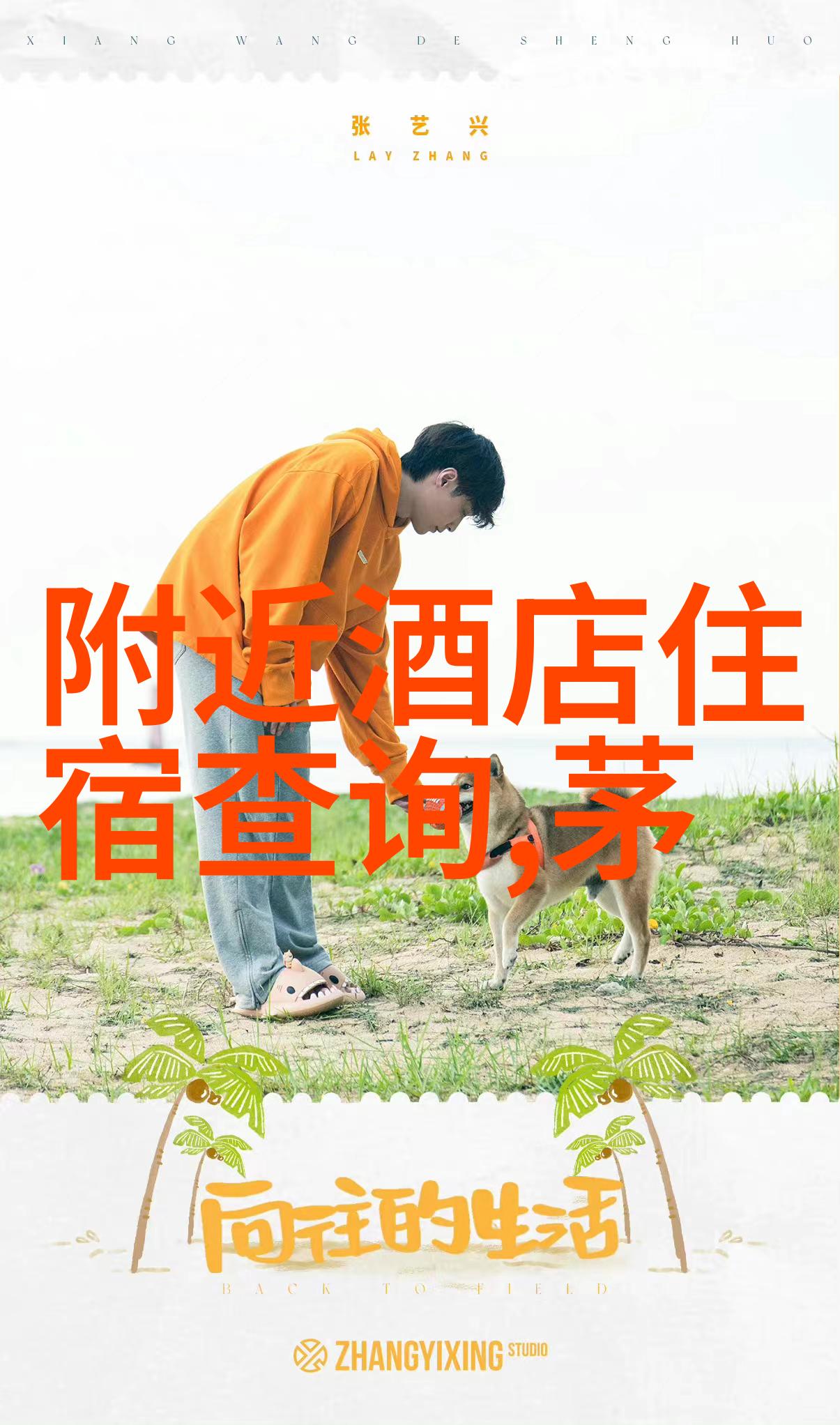 黄河边上的绿茵十一自驾游最佳路线探秘郑州湿地公园开放情况