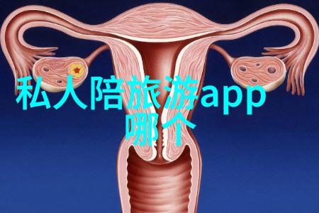 社交与学习并行团体活动如何提升人际关系