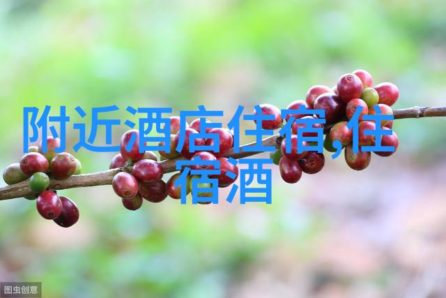 骑行群真实面貌骑行文化的多样性与挑战