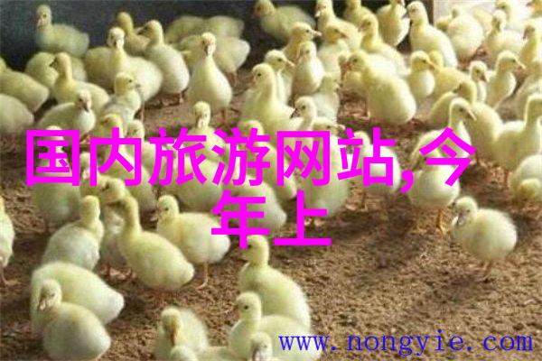 青甘千岛湖自然自驾游攻略