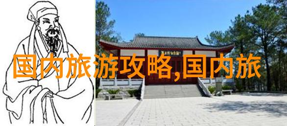 高速生活选择最佳速度的艺术