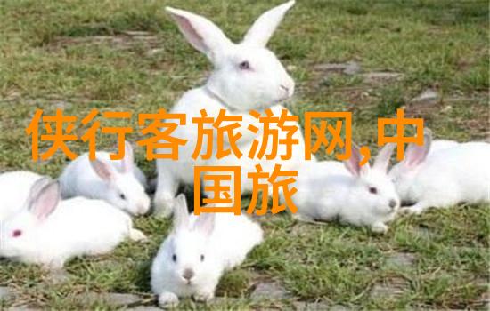 湖南旅游景点推荐-探索湘美洞源风情张家界奇观与怀化花海的旅途