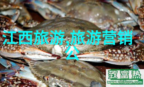 冬日暖阳1月最佳旅行目的地推荐