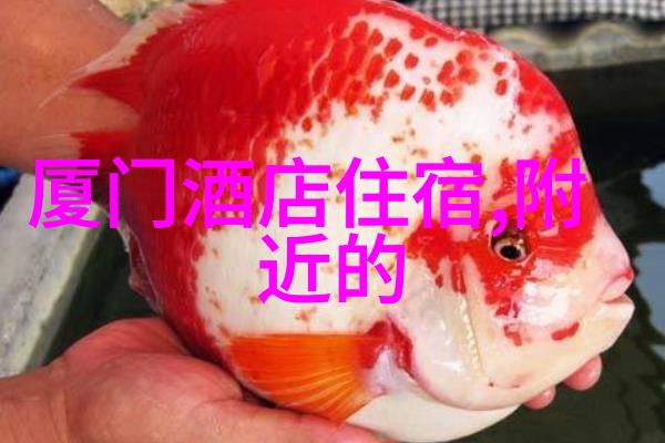 骑行极限探索普通人一天能否覆盖200公里的征程